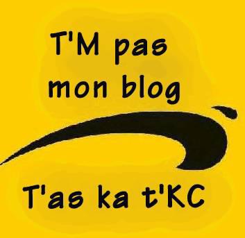 tm pa mn blog ?